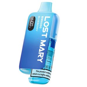 Lost Mary BM6000 - Blueberry